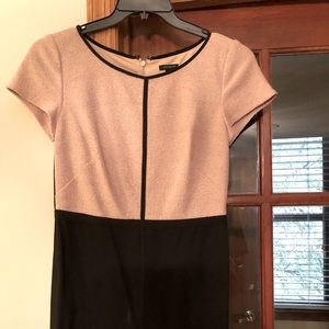 Ann Taylor Dress